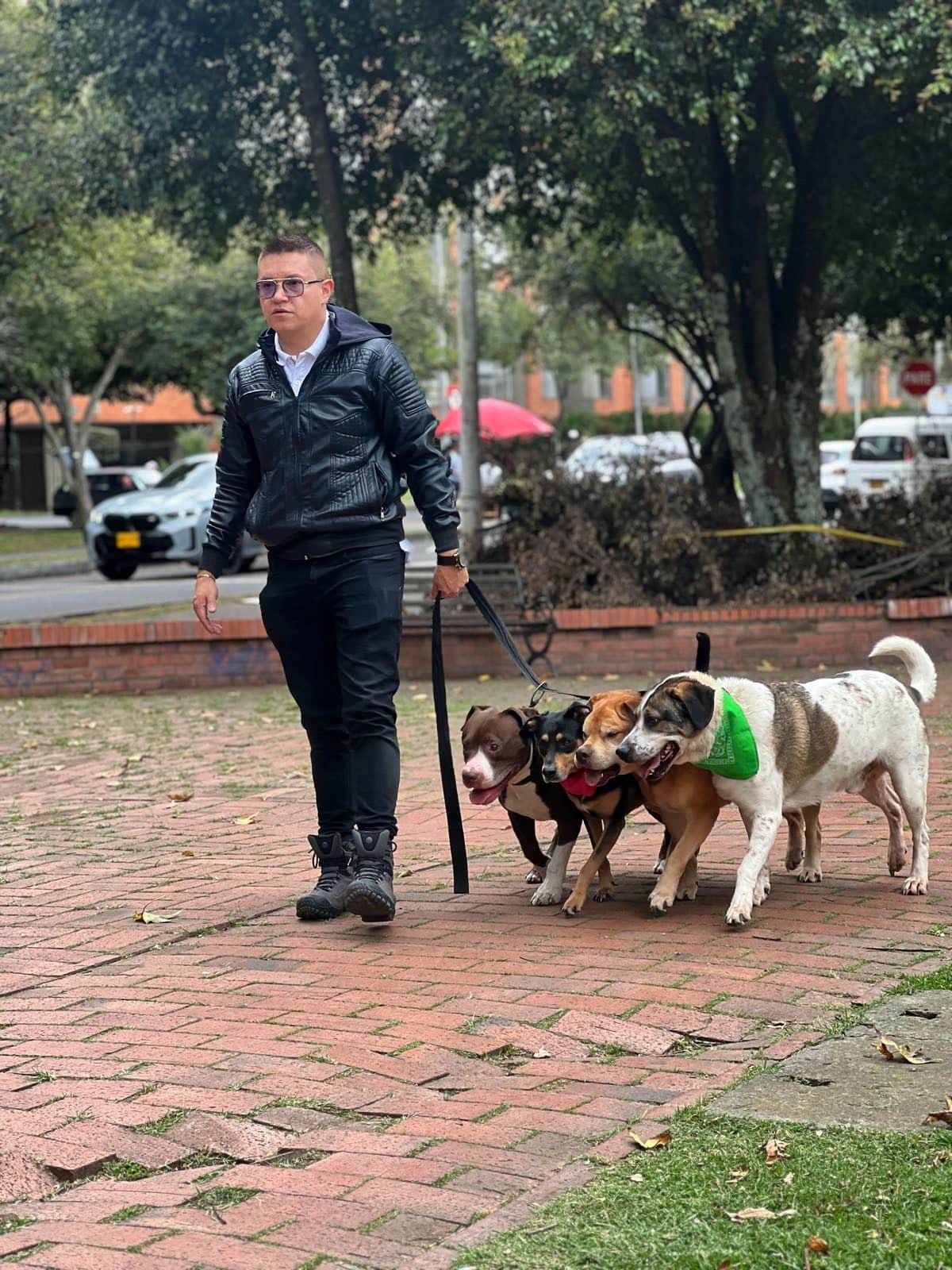 Diego camina con cuatro perros sujetos a una sola correa, floja
