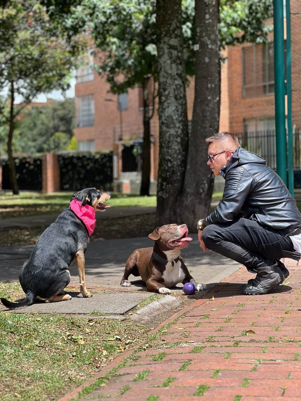 Diego agachado a la altura de dos perros que lo miran atentos