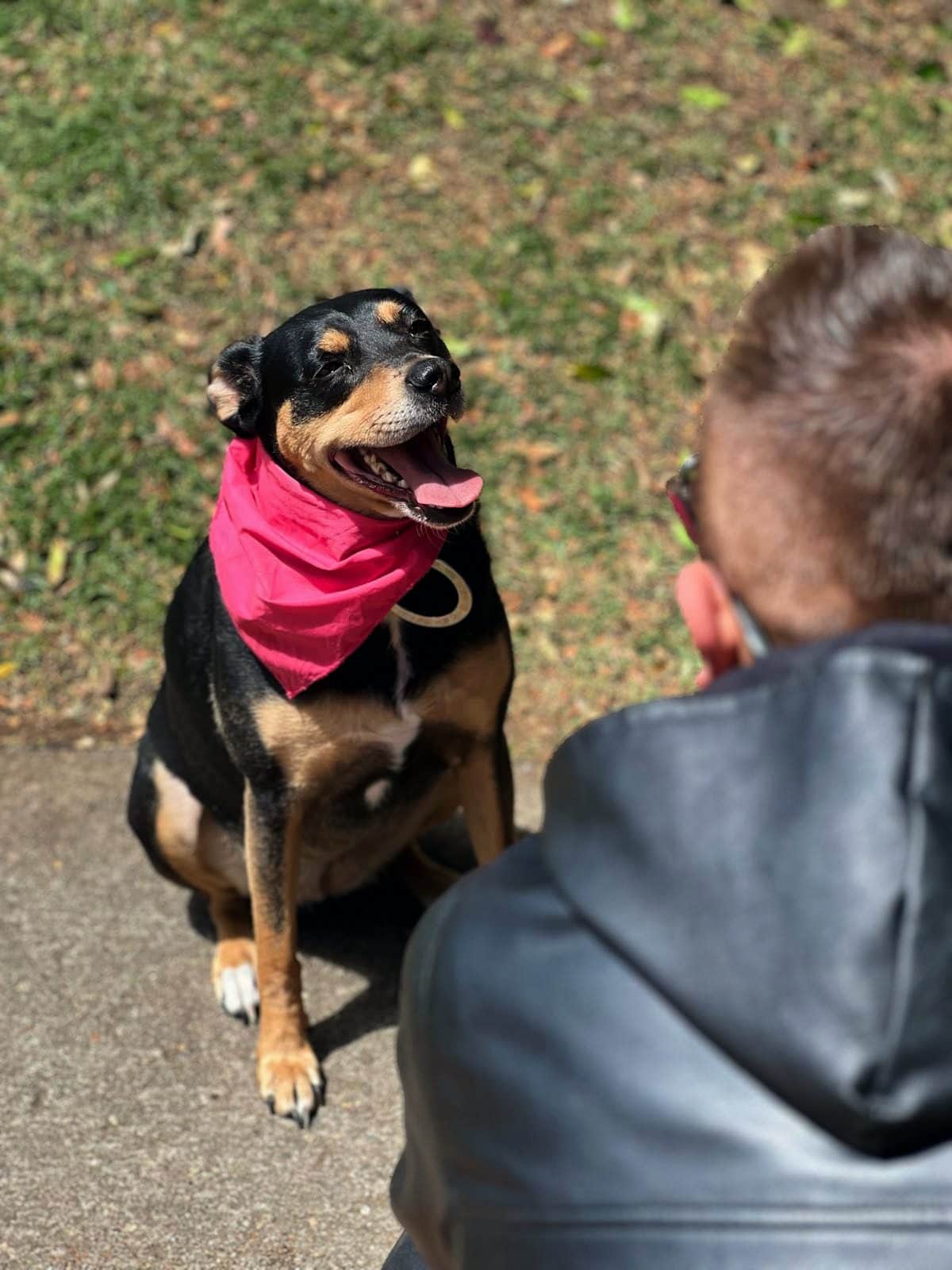 Un perro sentado mira a Diego a los ojos, sin correa de por medio