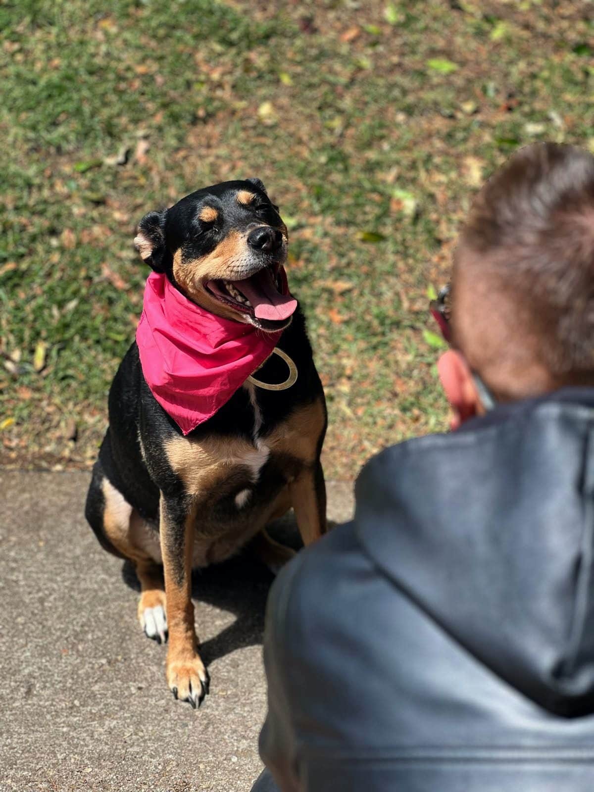 Un perro sentado sostiene la mirada de Diego, tranquilo