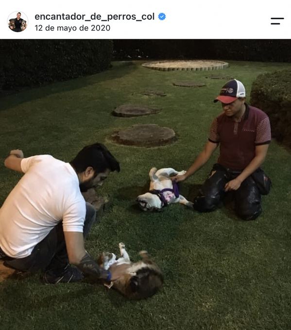 Diego Espinosa durante una sesión con un perro