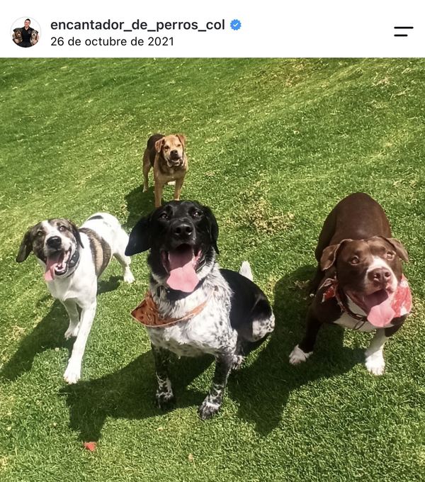 Diego Espinosa durante una sesión con un perro