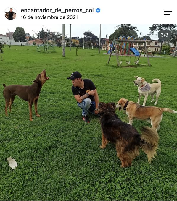 Diego Espinosa durante una sesión con un perro
