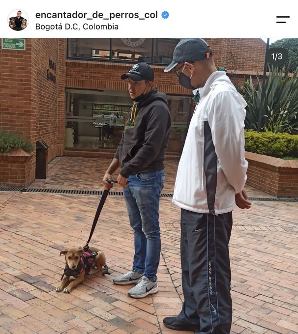 Diego Espinosa durante una sesión con un perro
