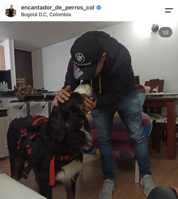 Diego Espinosa durante una sesión con un perro