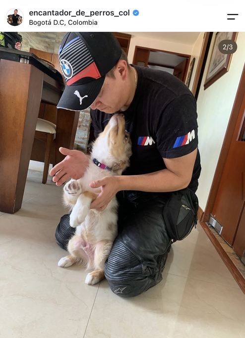 Diego Espinosa durante una sesión con un perro