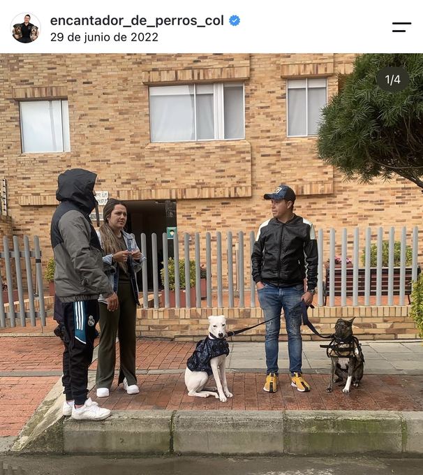 Diego Espinosa durante una sesión con un perro