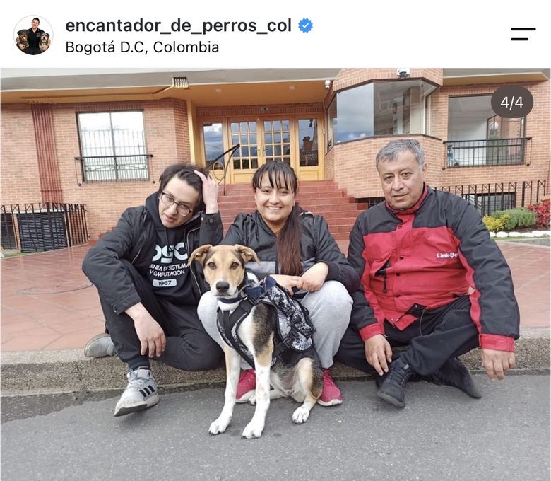 Diego Espinosa durante una sesión con un perro